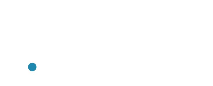 Edgerton Strategies